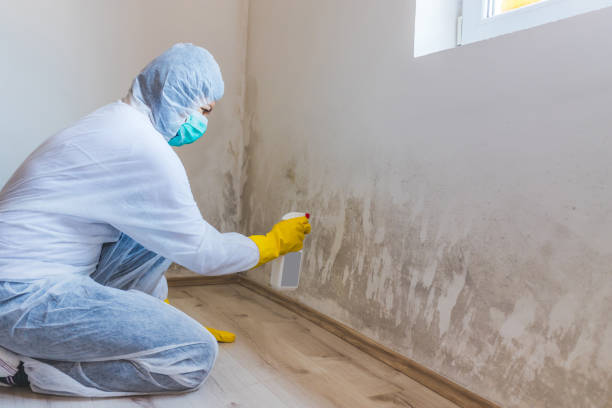 Hvac And Air Duct Mold Remediation inspection of HVAC system in Glen Ellyn