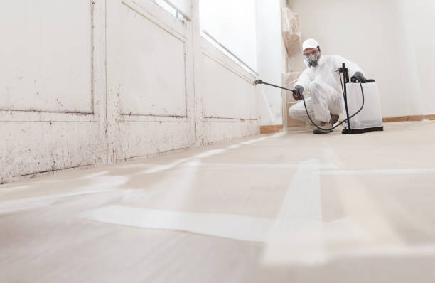 Post-remediation clearance in Glen Ellyn
